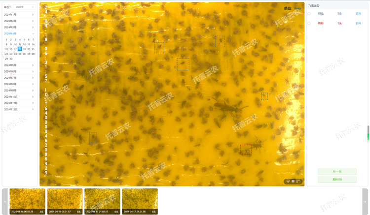 4. 智能識別 自動計(jì)數(shù)_750.png